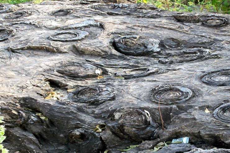 same day trip to salkhan fossils park with Lakhaniya cave painting from Varanasi